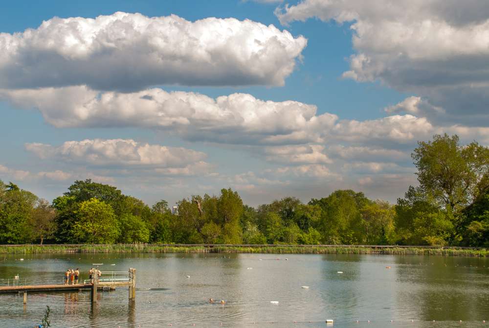 Hampstead Heath Ponds