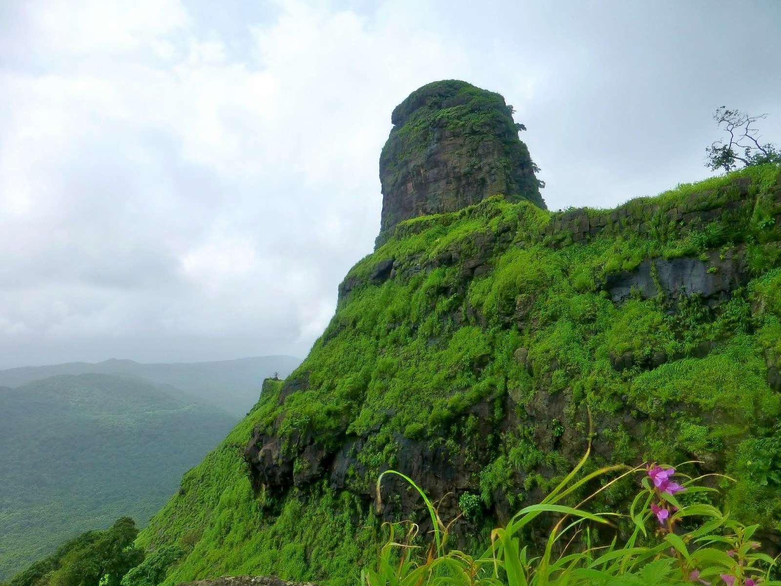 Karnala Fort Trek From Mumbai, Book & Save 25%