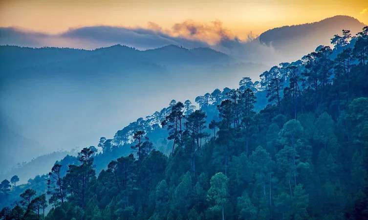 Ranikhet