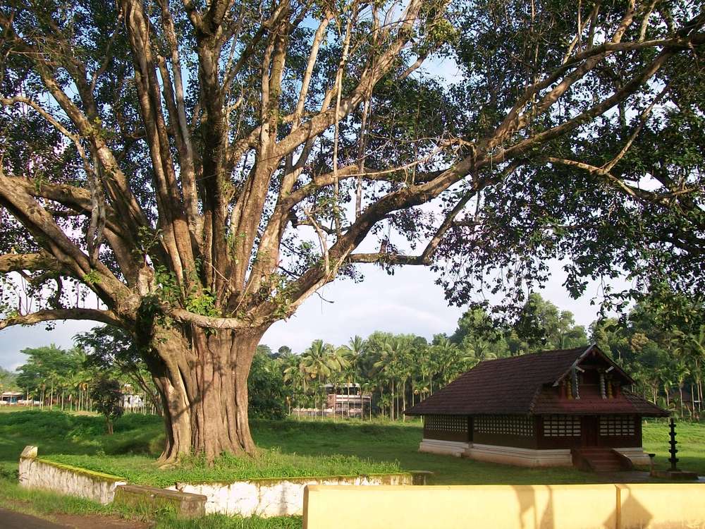 Valliyoorkavu Bhagavathi Temple
