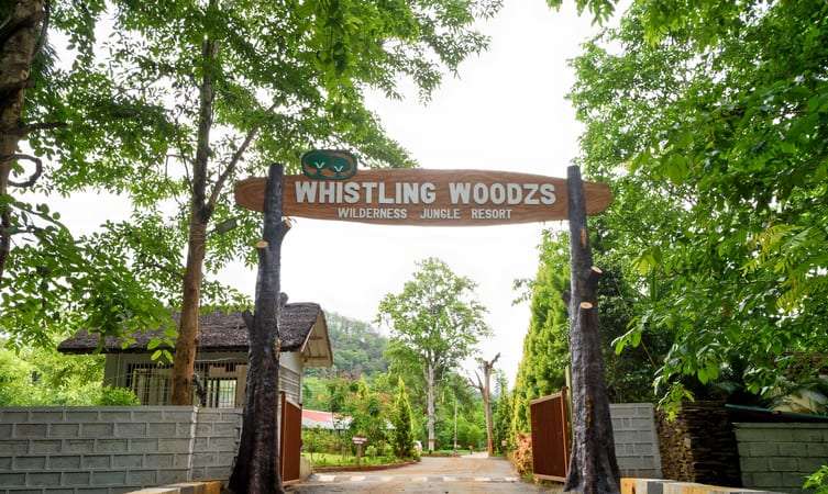 Whistling Woodzs