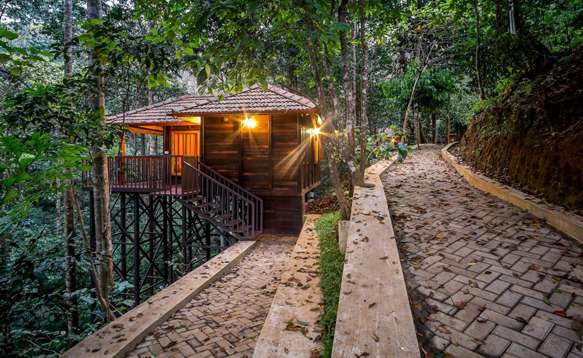 Jungle Retreat Wayanad