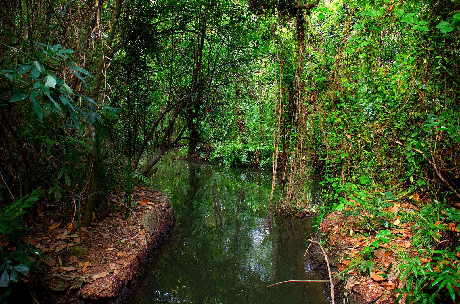 Kumarakom Bird Sanctuary Tickets I Book & Save 50%