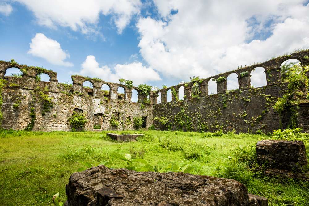 1589375453 shutterstock 1455988889