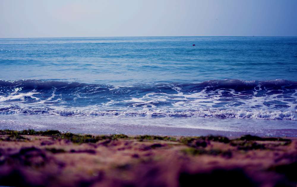 1589376733 shutterstock 747788266