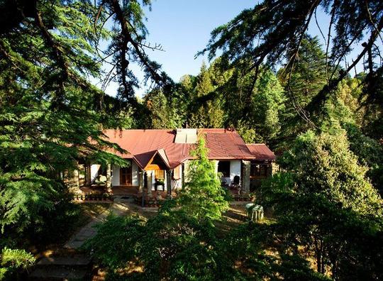 Vintage Forest Estate Stay in Binsar | Staycation