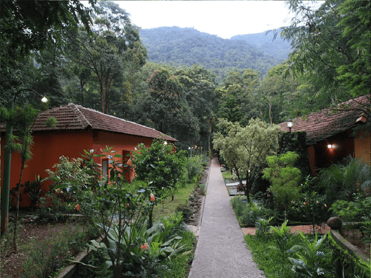 Blue Ginger Resort Wayanad Stay