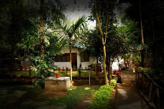 Glenmore Resort Stay, Munnar | Book Online @27% off