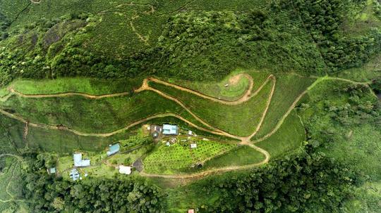 Camelot Resort Munnar Stay