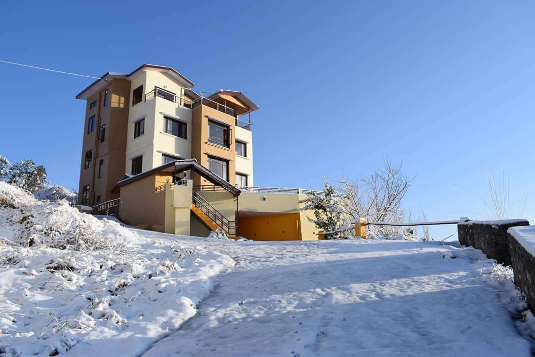 LivingStone Countryside Apple Orchard