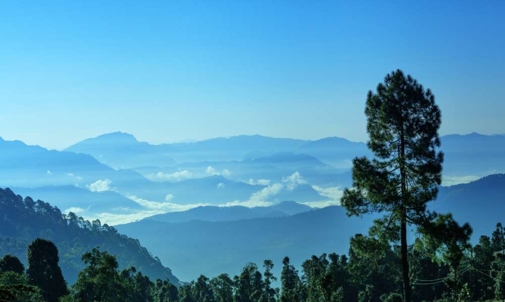 Why Visit Kausani in December