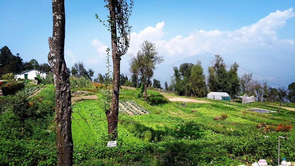 Visit the Sleepy Village - Gwaldam