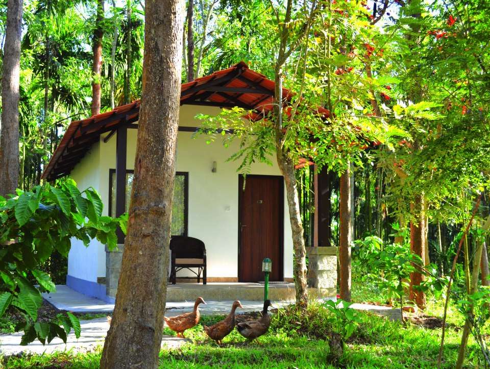 The Wilderness Resort