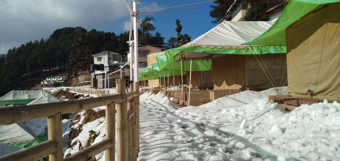 Junglee Camps & Resort