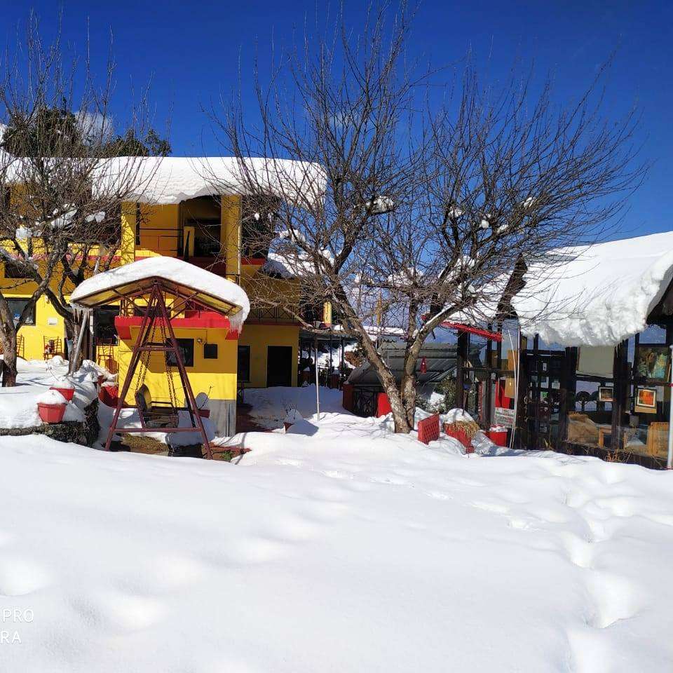 Apple Orchard Resort