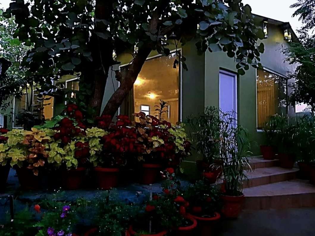 Ratapani Jungle Resort