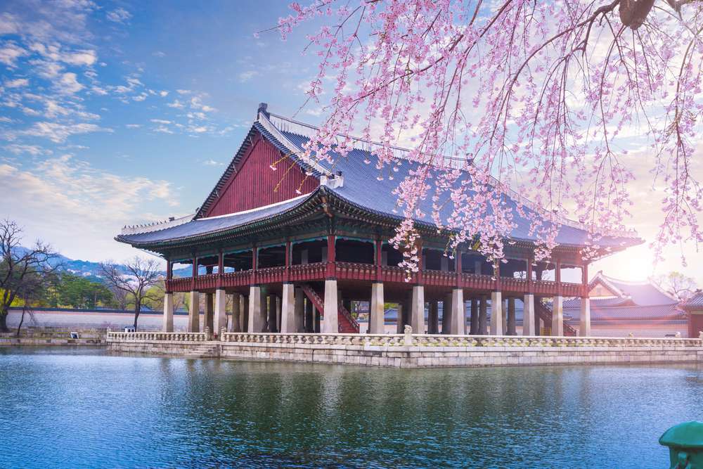 Dreams of South Korea in 7 Days 2023 | Flat 14% off