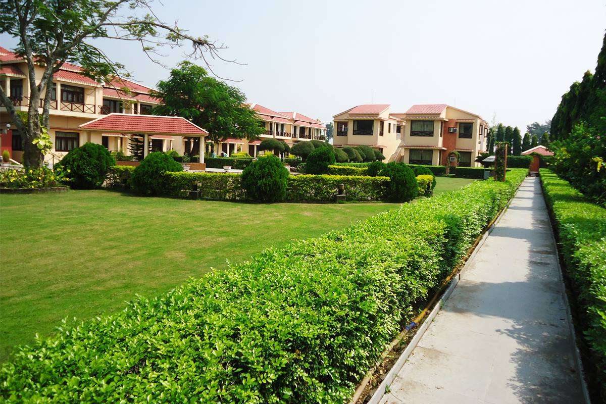 Palm Resort Digha