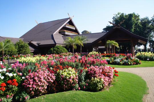 Doi Tung Tour Chiang Rai