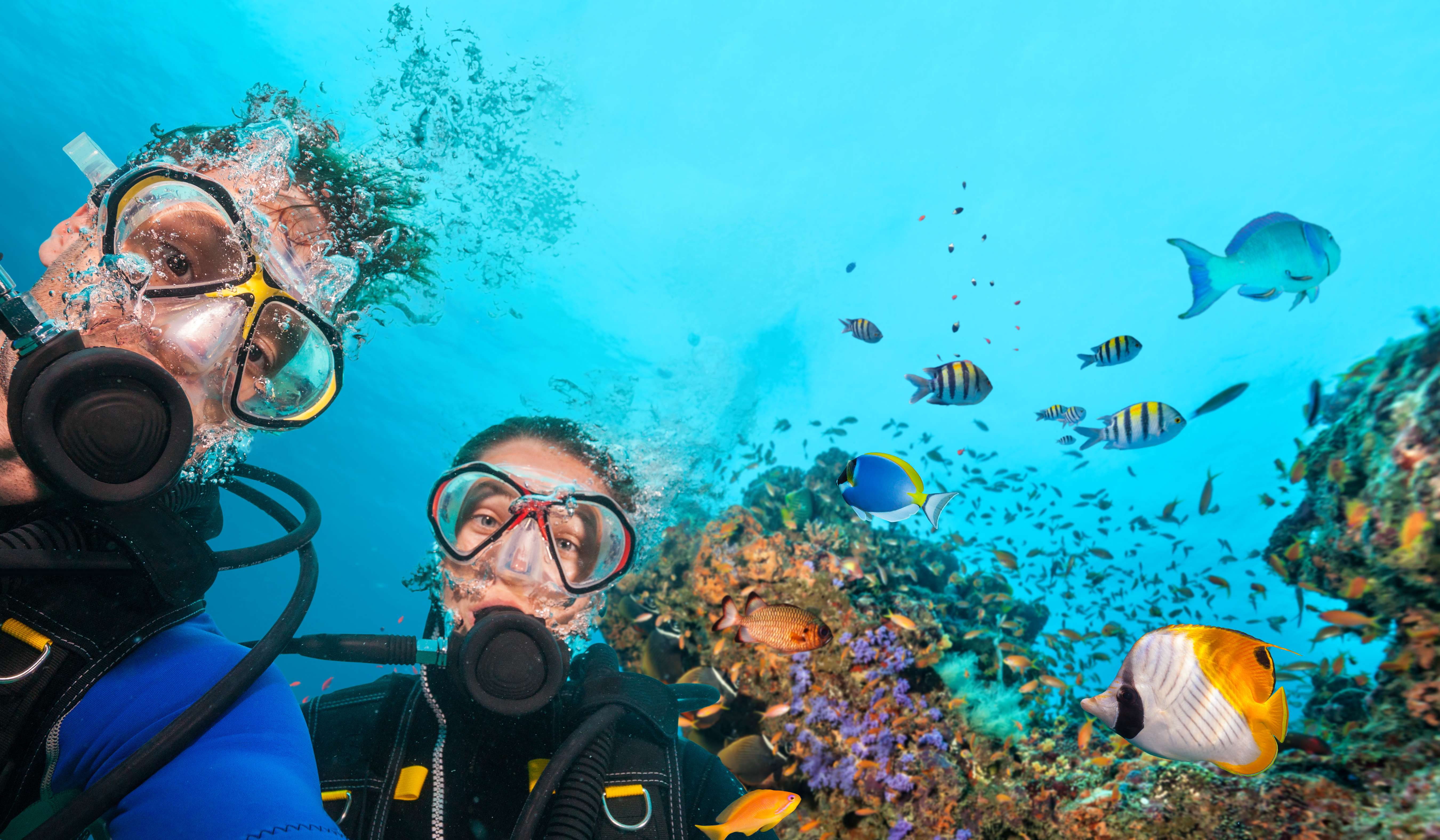 Scuba Diving Koh Samui | Book Online & Save 30%