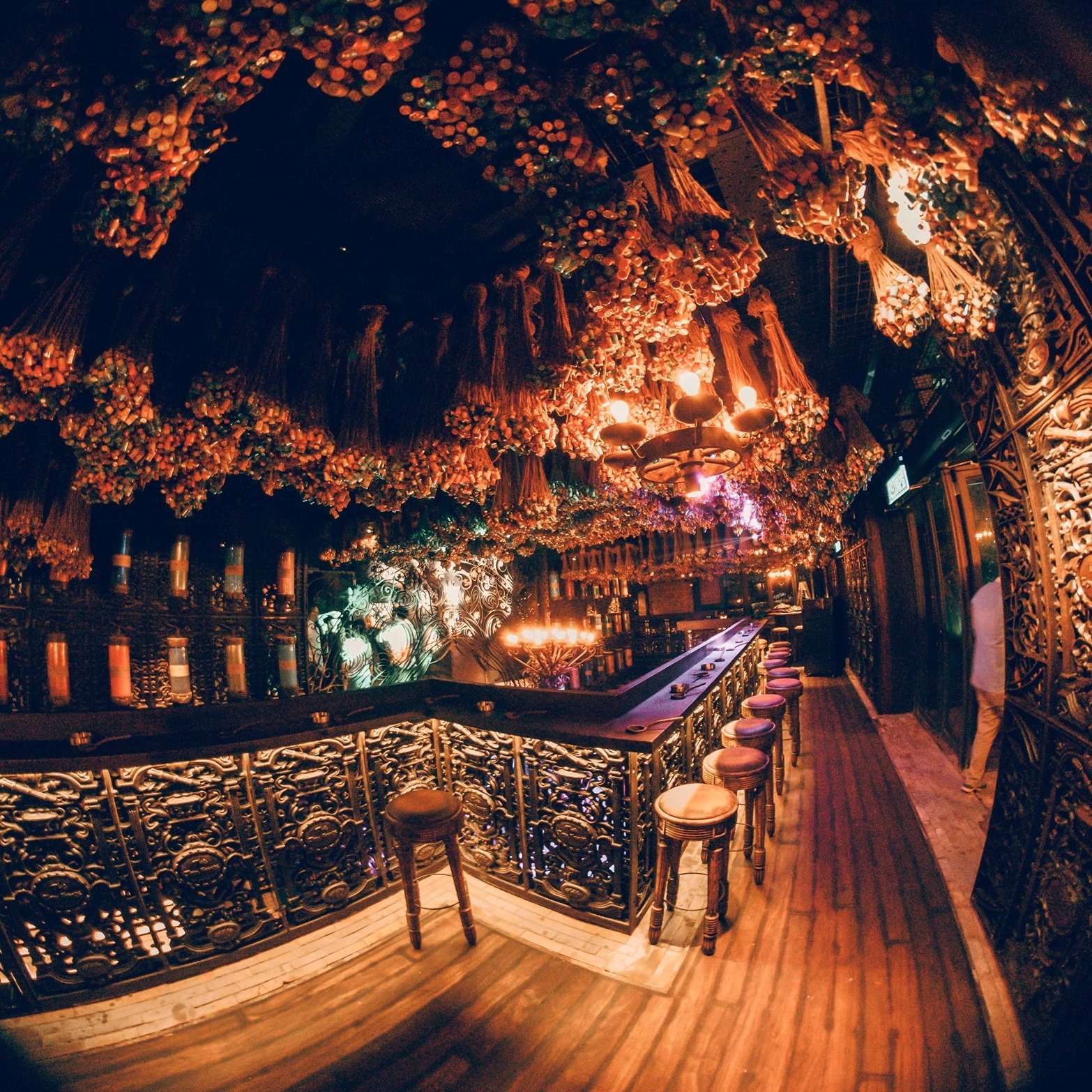 The Iron Fairies Club