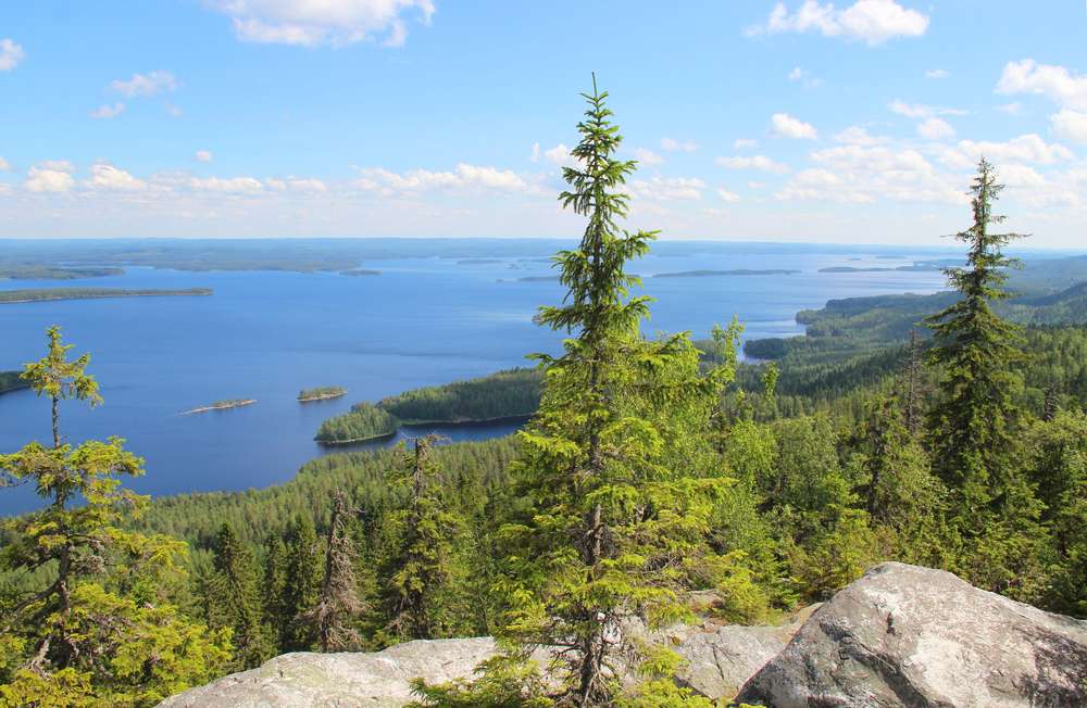 Koli National Park