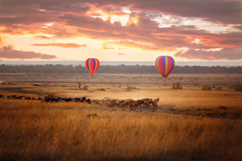 Hot Air Balloon Safari