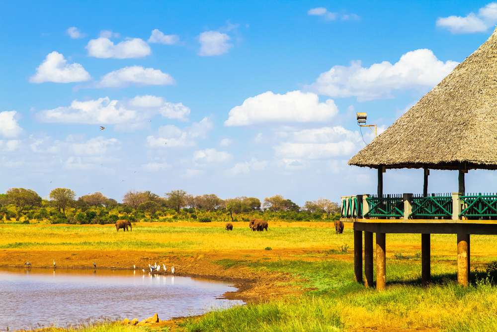 Tsavo National Park