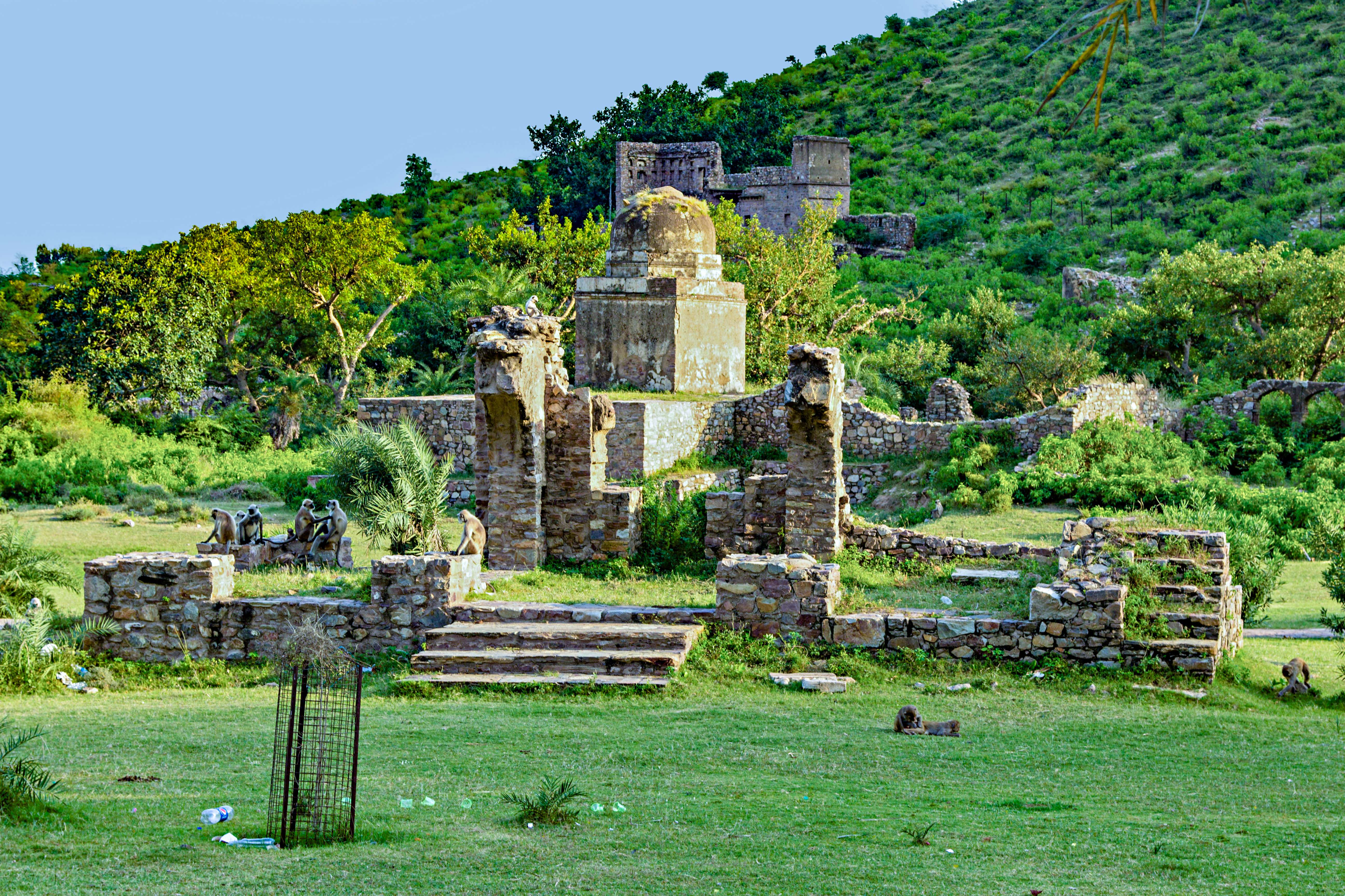 10 Places to Visit in Sariska, Tourist Places & Top Attractions