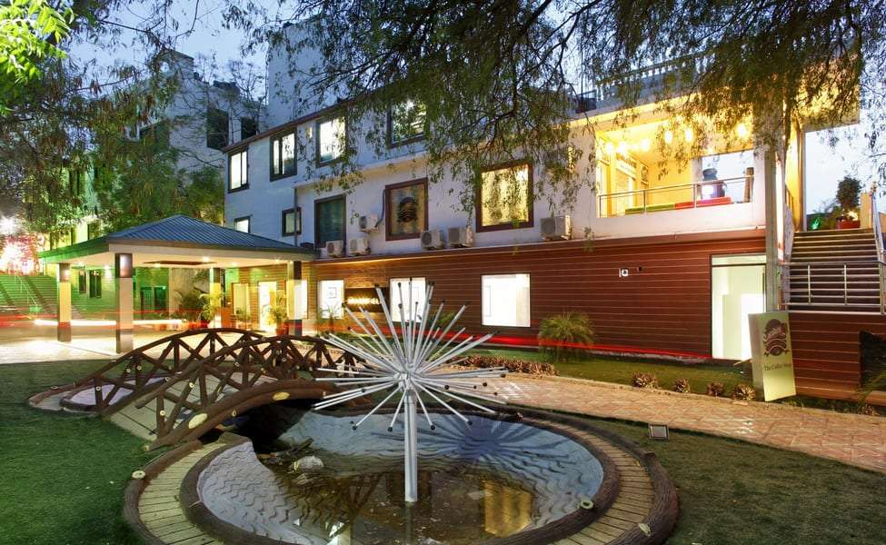 The Byke Grass Field