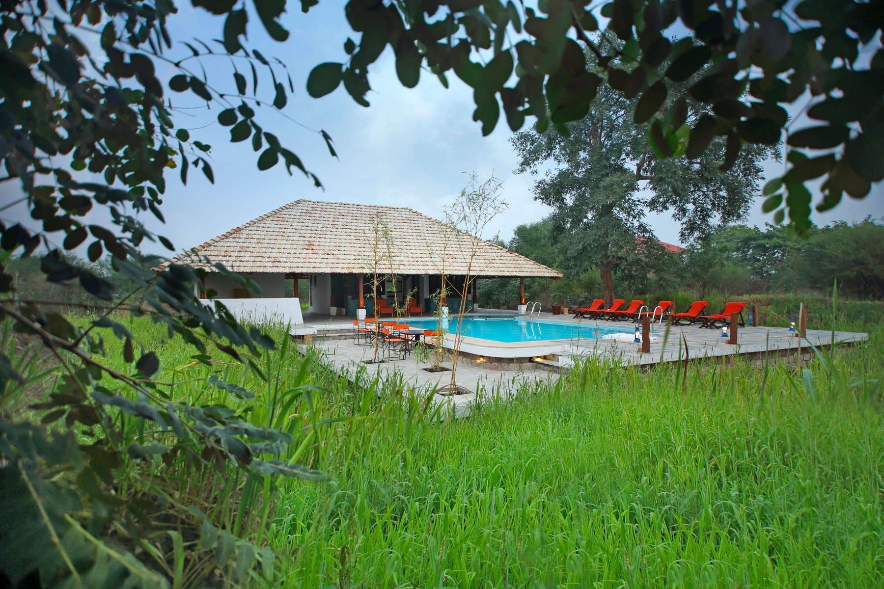 Svasara Jungle Lodge, Tadoba