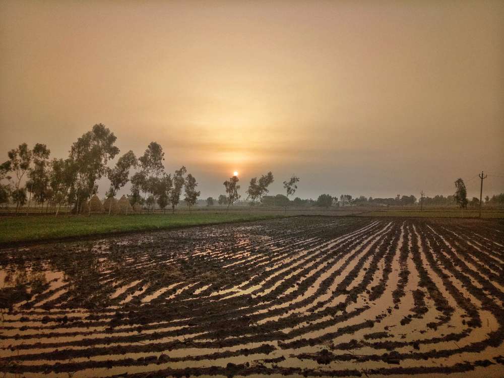 1600352321 shutterstock 1111590722