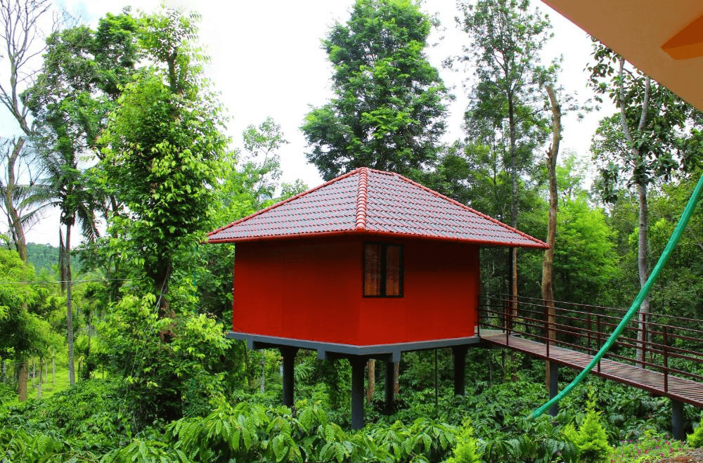 Wayanad Forest Hutstay