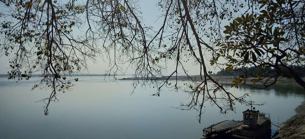 1602165501 shutterstock 1252948594