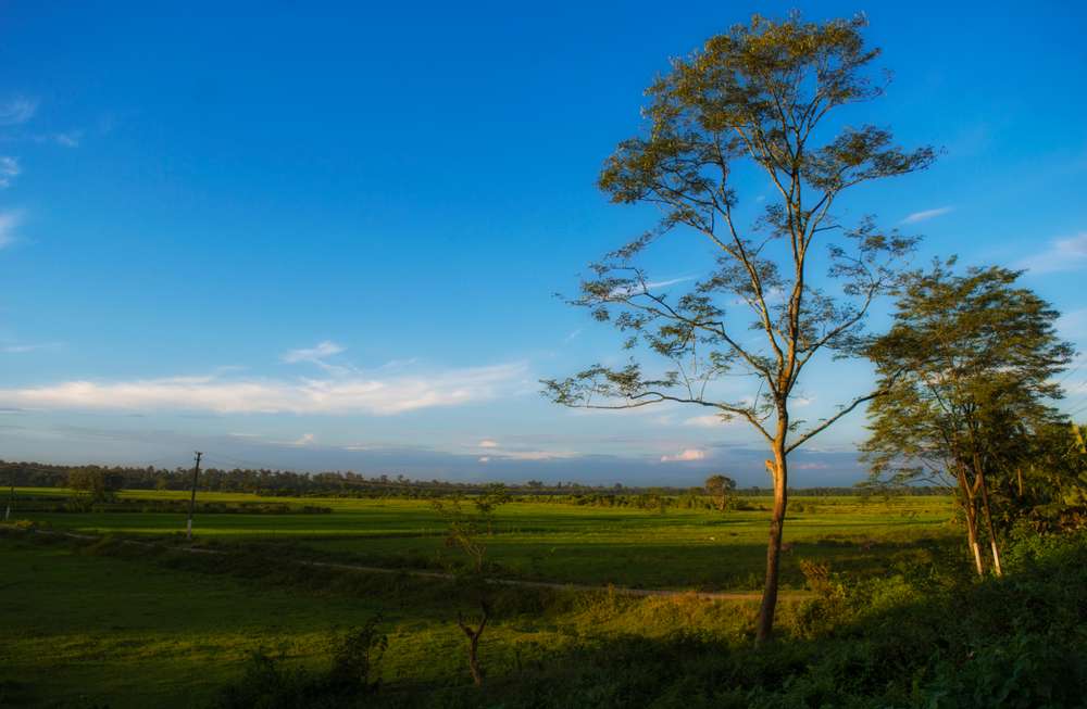 1602165730 shutterstock 1253348731