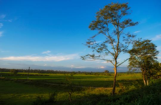 1602165730 shutterstock 1253348731