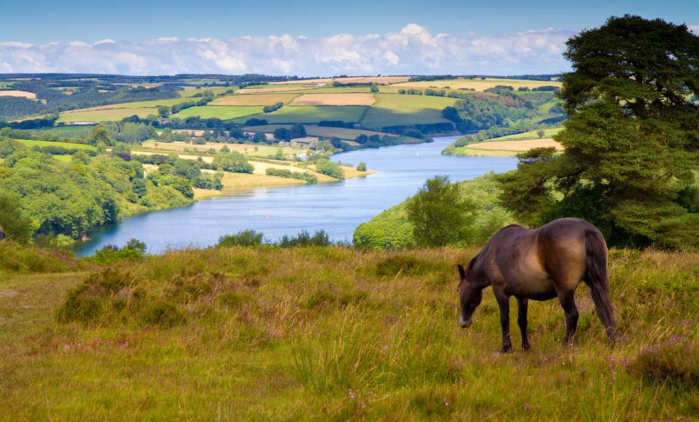 Exmoor National Park, England