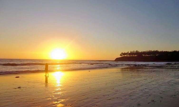 Kashid (172 km from Pune)