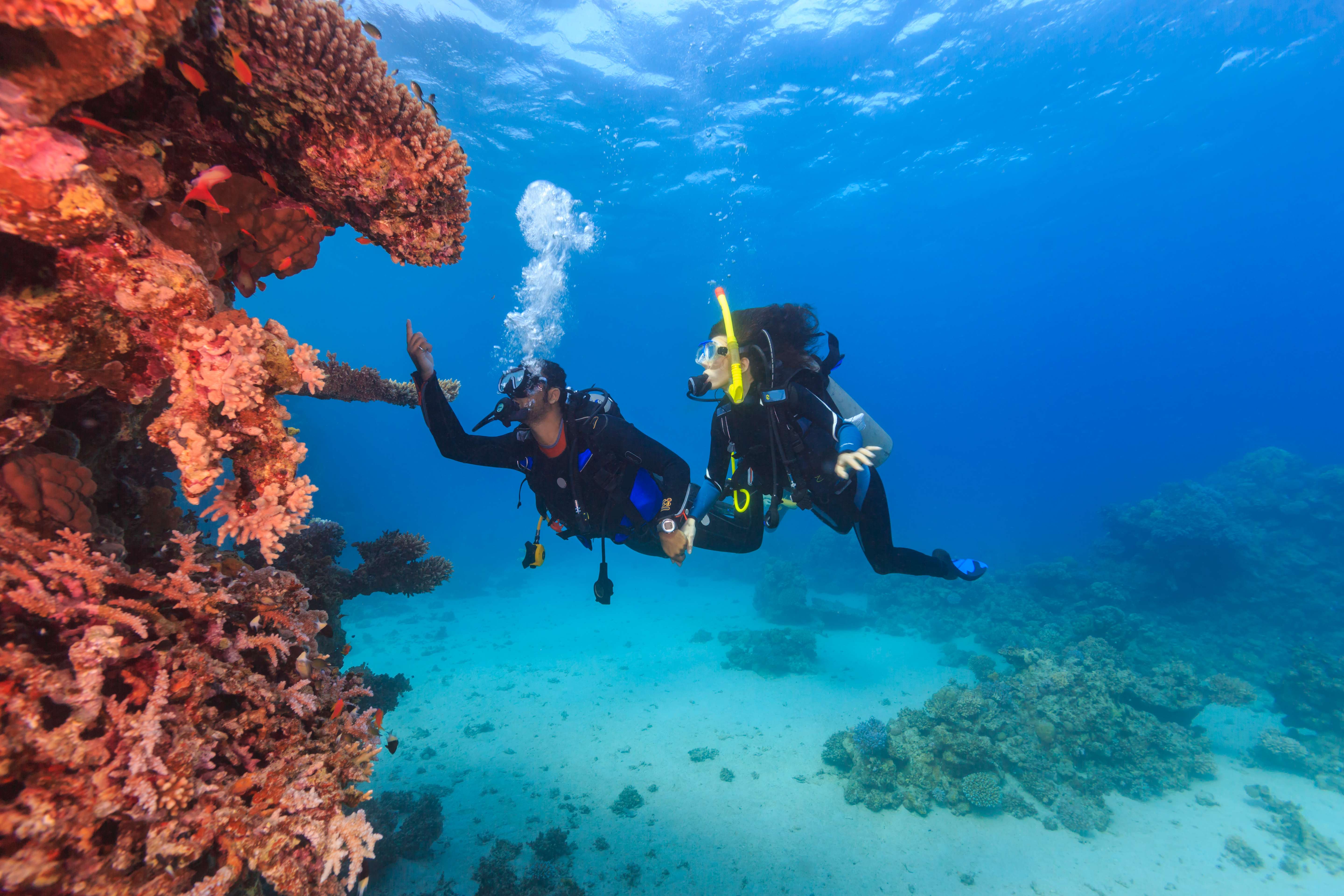 Scuba Diving in Devbaug