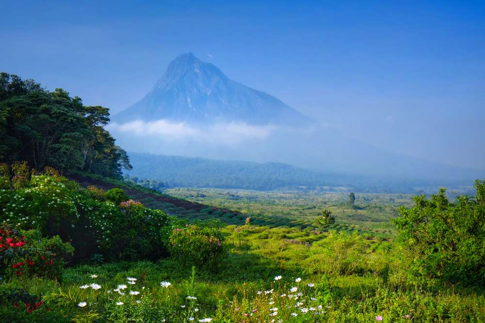 Virunga National Park