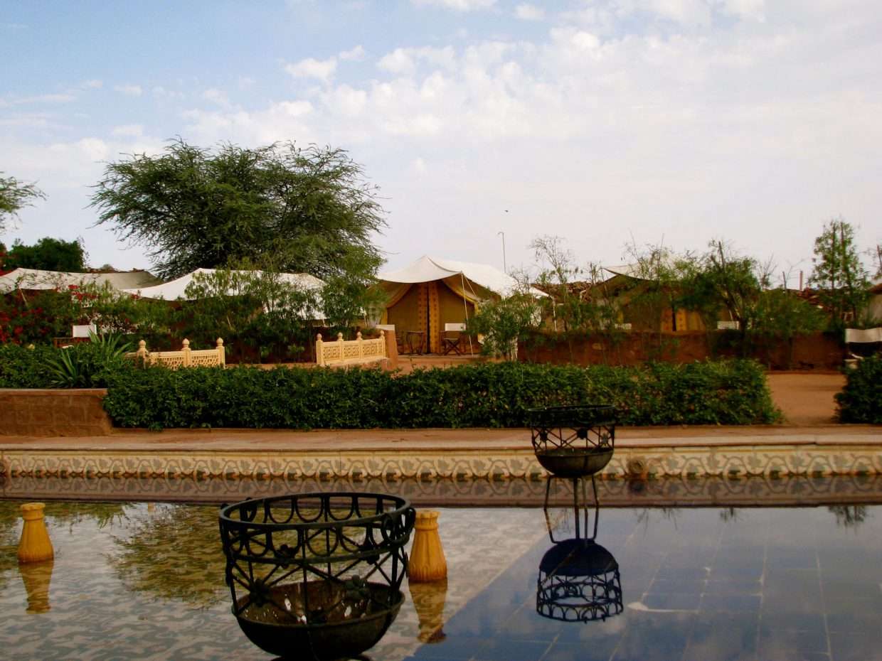 Reggie's Camel Camp Osian