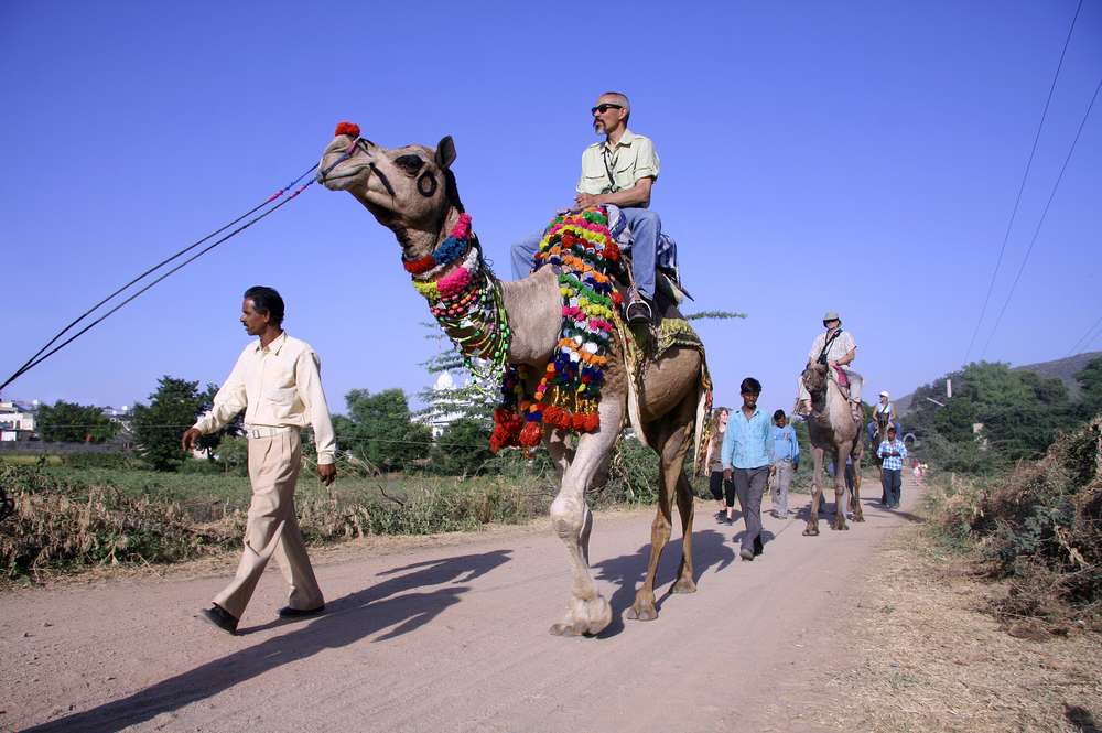 Enjoy the Camel Ride