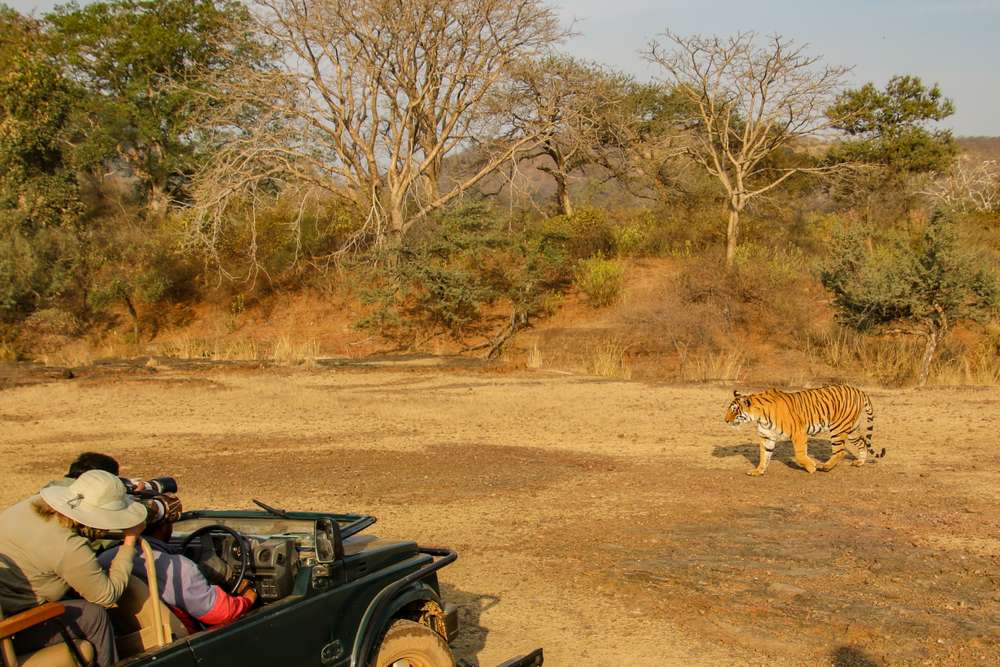 History Of Ranthambore
