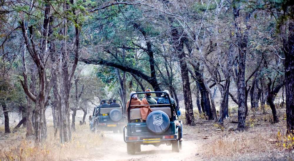 Timings of Safari at Ranthambore