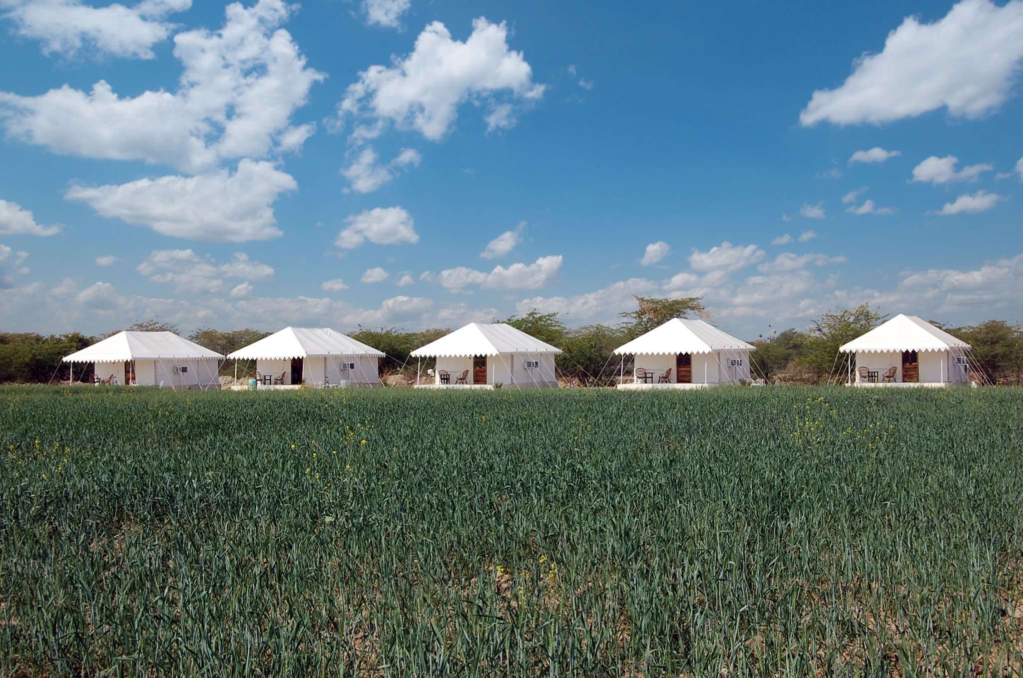 Jawai Bera Leopard Camp