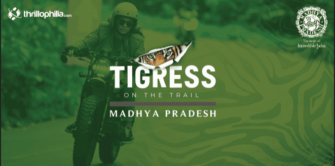 Tigress on the Trail | All Women Bike Trip
