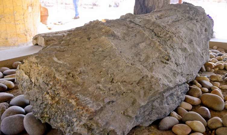 Akal Wood Fossil Park