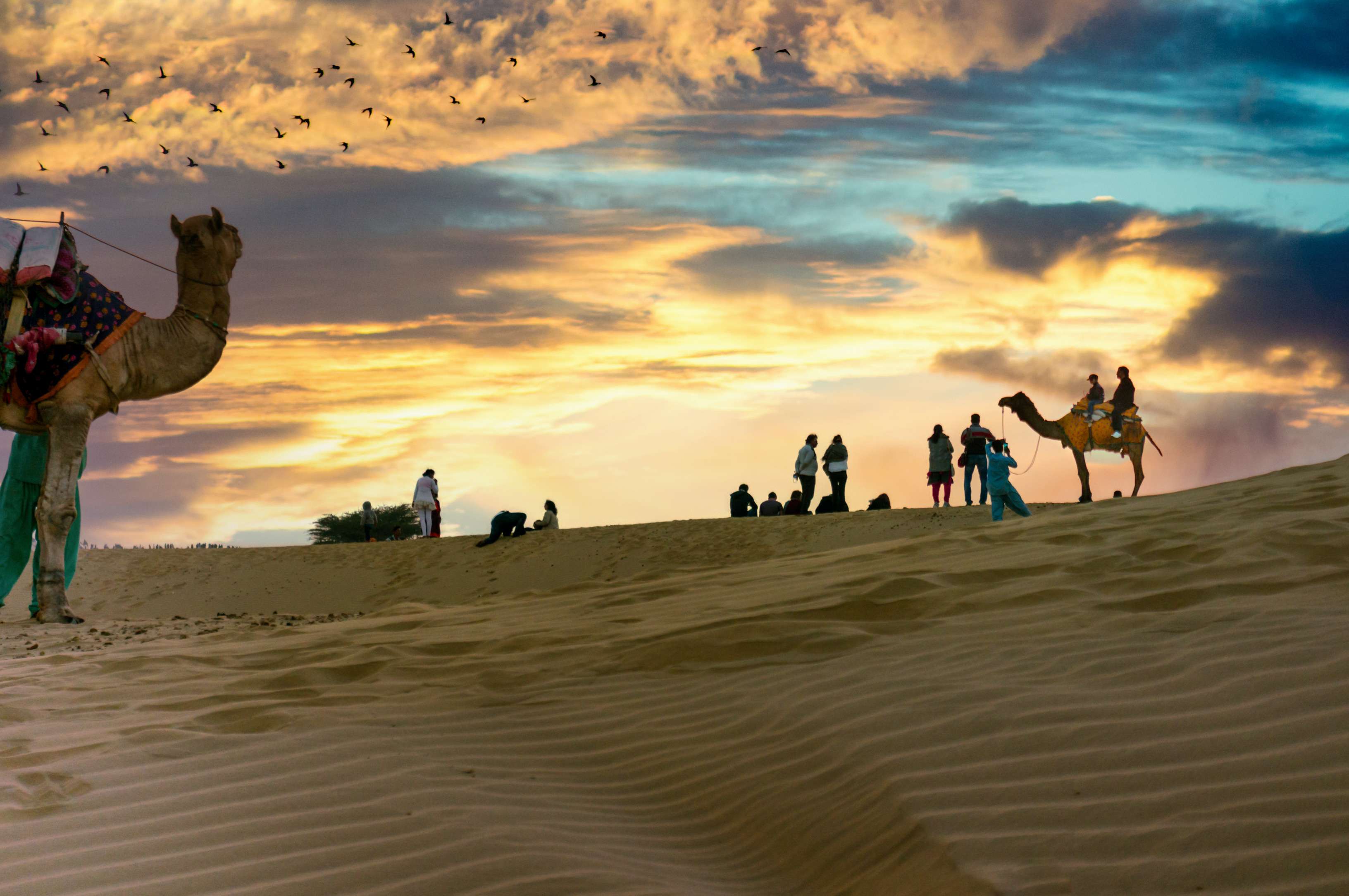 Sand Dunes in Bikaner