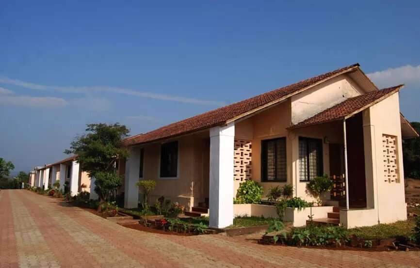 Vamoose Green Valley