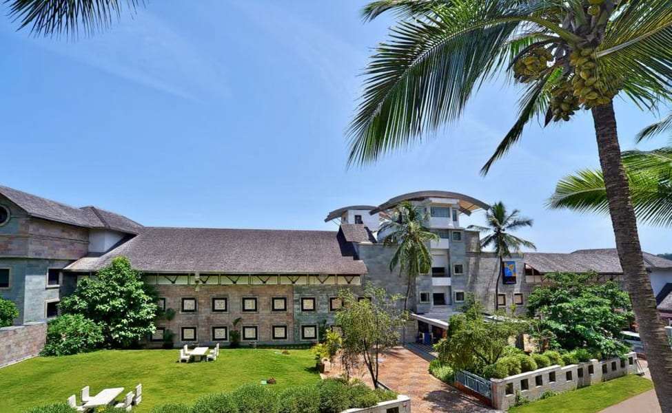 Turtle on the Beach, Kovalam